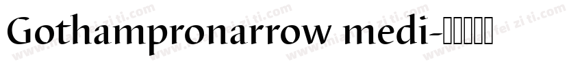 Gothampronarrow medi字体转换